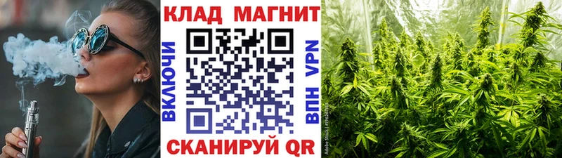 Как найти наркотики Кашин Псилоцибиновые грибы Бошки Шишки Мефедрон ГАШИШ A-PVP KRAKEN ССЫЛКА Амфетамин