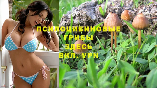 каннабис Алексеевка