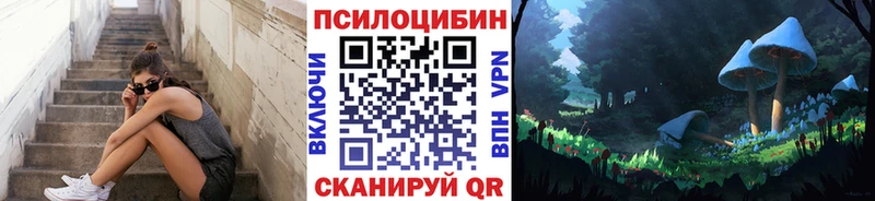 Галлюциногенные грибы Psilocybe Кашин