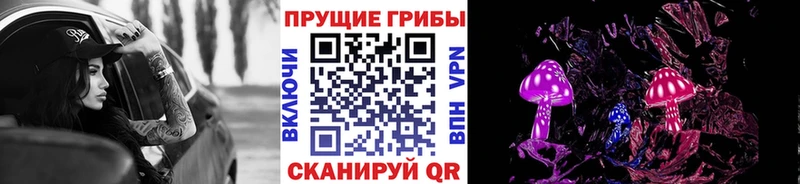 darknet телеграм  цена   Кашин  Псилоцибиновые грибы GOLDEN TEACHER 